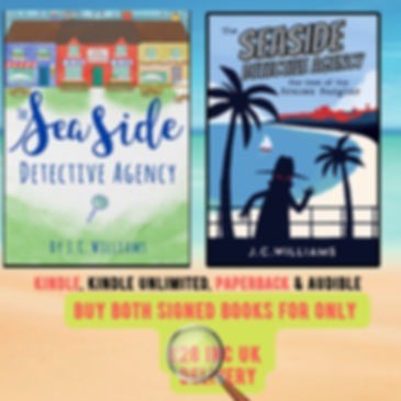 The Seaside Detective Agency · cover