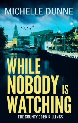 While Nobody is Watching · cover